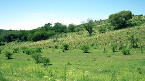 Argentina :: Sierras de Córdoba